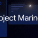 Google shuts down Project Mariner