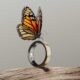 Oura Ring 5 3