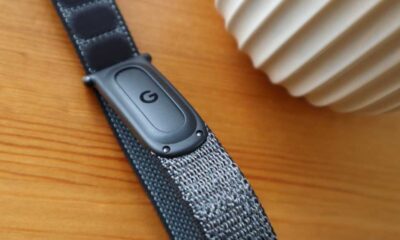 A look at the Fitbit Air inside the strap