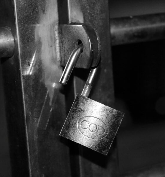 Mitigating vendor lock-in with Sakana AI Fugu multi-agent models