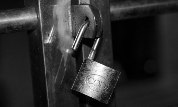 Mitigating vendor lock-in with Sakana AI Fugu multi-agent models
