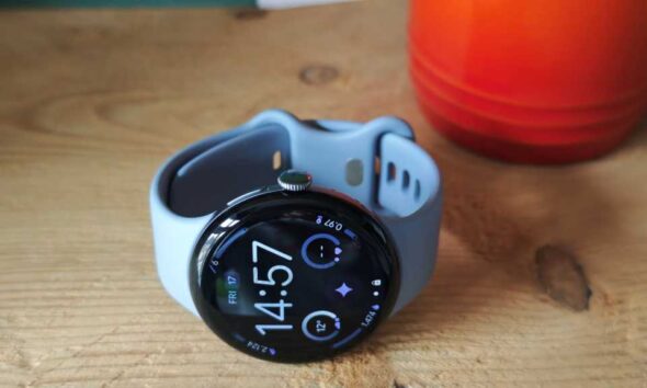 Pixel Watch 4 digital crown