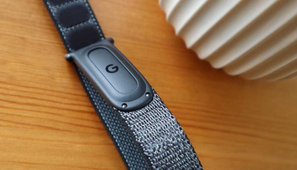 A look at the Fitbit Air inside the strap