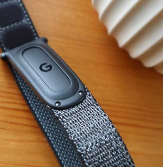 A look at the Fitbit Air inside the strap