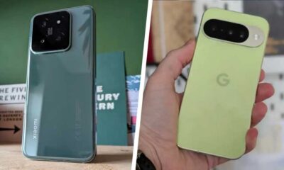 Xiaomi 14 and Pixel 10
