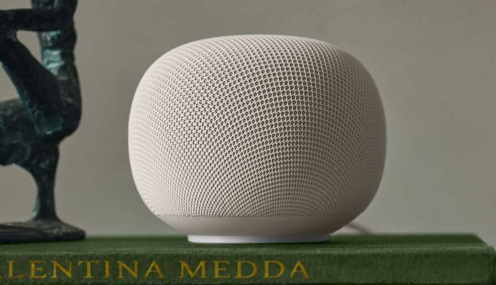Google Home Speaker