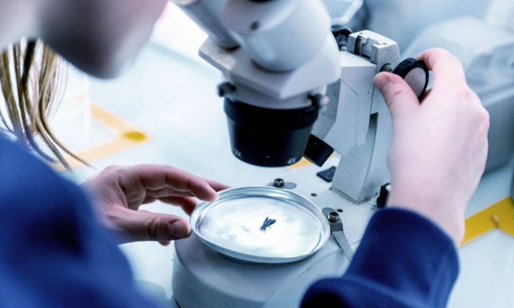 Paris-based Innovafeed secures €51 million to scale sustainable insect-based ingredients for animal and plant nutrition