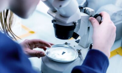 Paris-based Innovafeed secures €51 million to scale sustainable insect-based ingredients for animal and plant nutrition