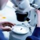 Paris-based Innovafeed secures €51 million to scale sustainable insect-based ingredients for animal and plant nutrition