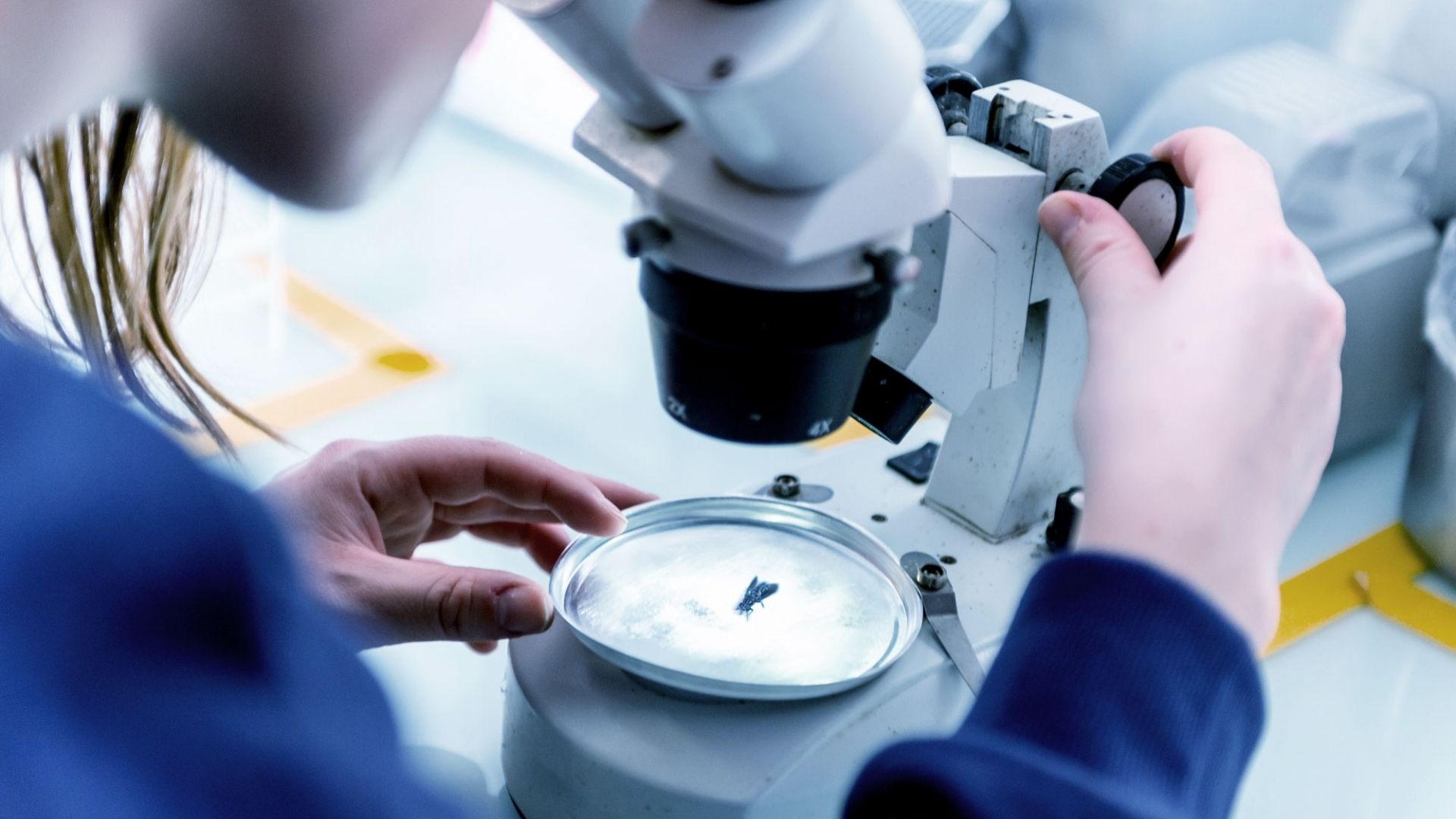 Paris-based Innovafeed secures €51 million to scale sustainable insect-based ingredients for animal and plant nutrition