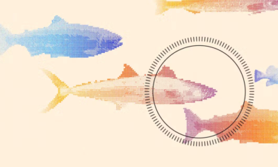 This startup built a fish-killing robot and chefs love the results
