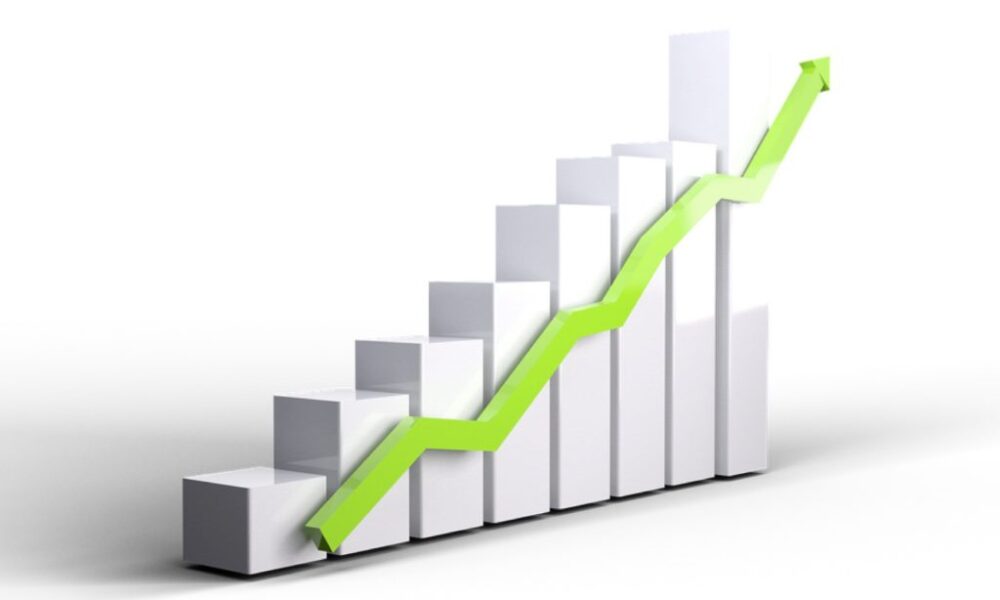 startup growth