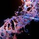 NVIDIA BioNeMo accelerates Anthropic Claude Science
