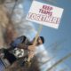 As unionised Microsoft workers rally against Bethesda layoffs, Fallout 4's been filled with protest signs and OneBGS logoed vault suits by modders
