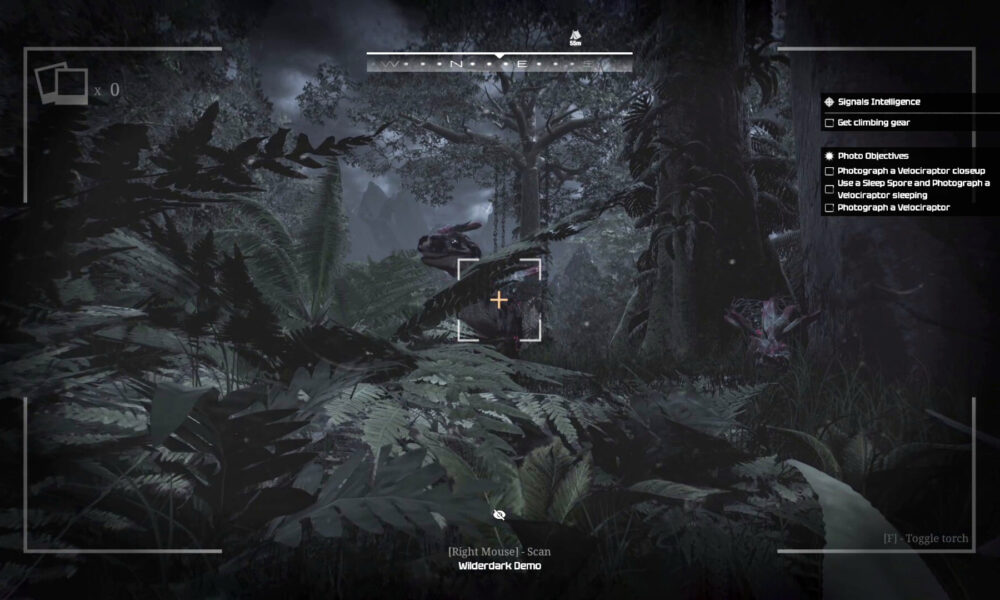 Wilderdark