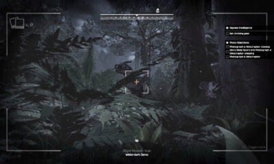 Wilderdark