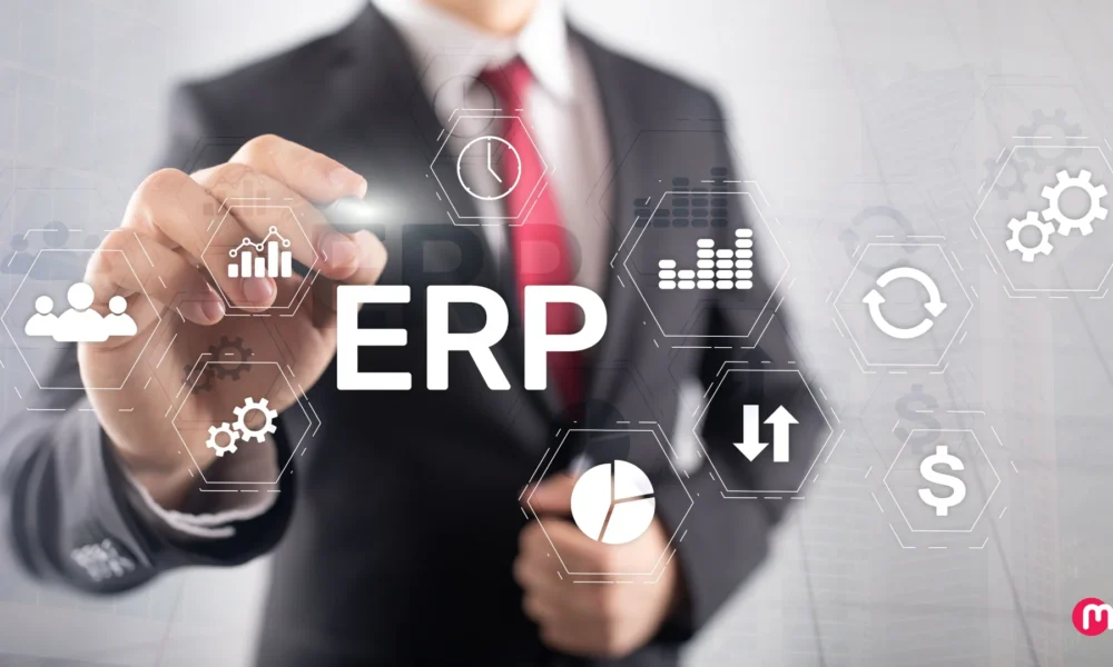 guide to erp software development