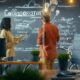 content collaboration