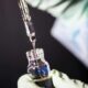 US public health agencies to test OpenAI and Anthropic AI models