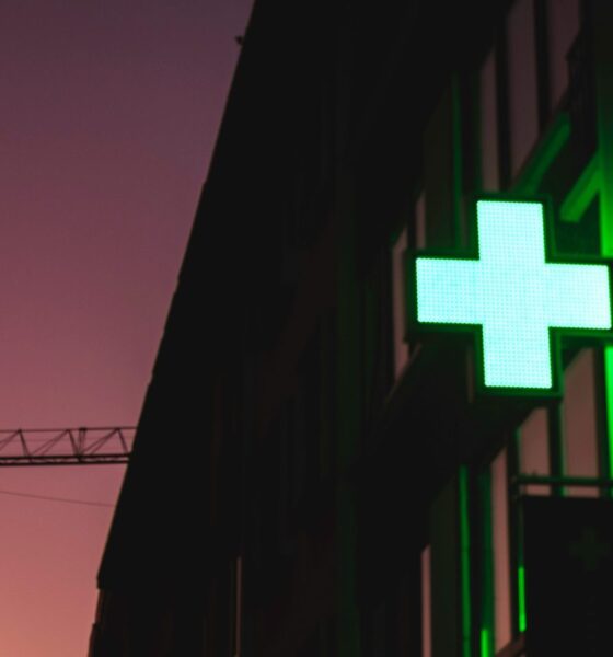 Takeda signs US$600M AI drug discovery deal with Insilico