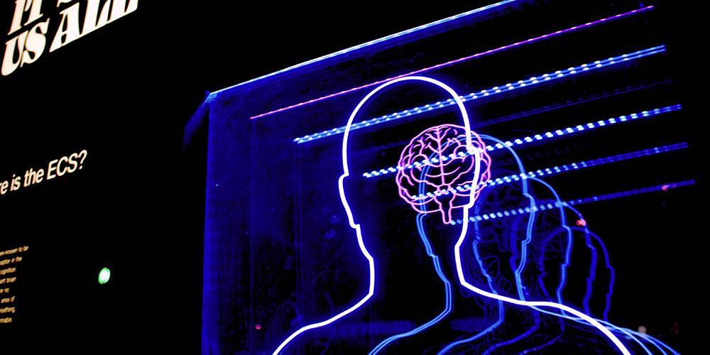 iDrop News Memory Mastery Brain Games