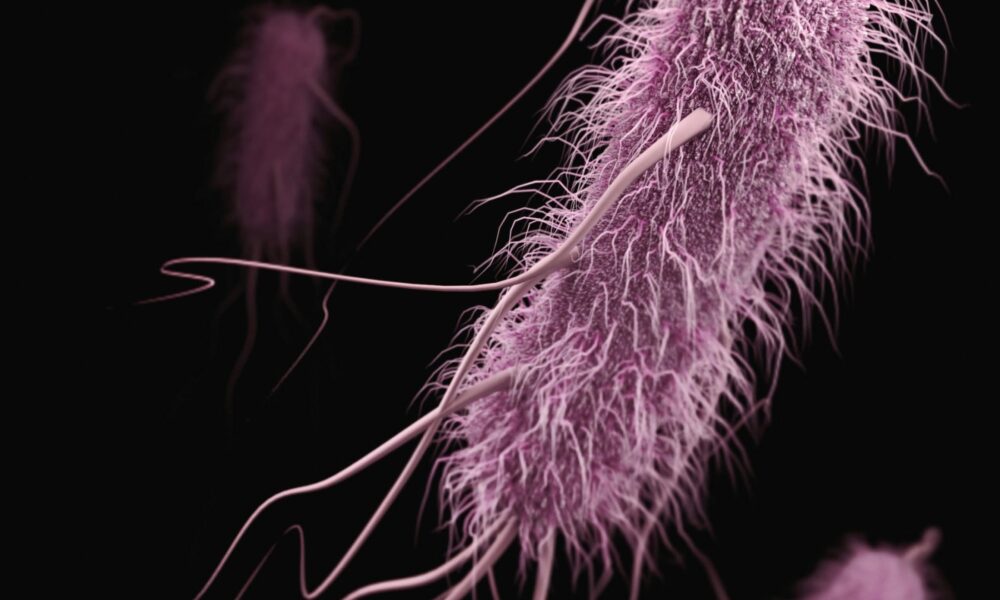 Stanford Evo 2 AI model generates phages against E. coli