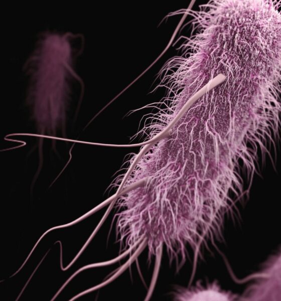 Stanford Evo 2 AI model generates phages against E. coli