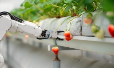 The AIGreenBots project is a Doctoral Network that aims to foster the development of the next generation of intelligent AI-based agricultural robotics