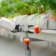 The AIGreenBots project is a Doctoral Network that aims to foster the development of the next generation of intelligent AI-based agricultural robotics