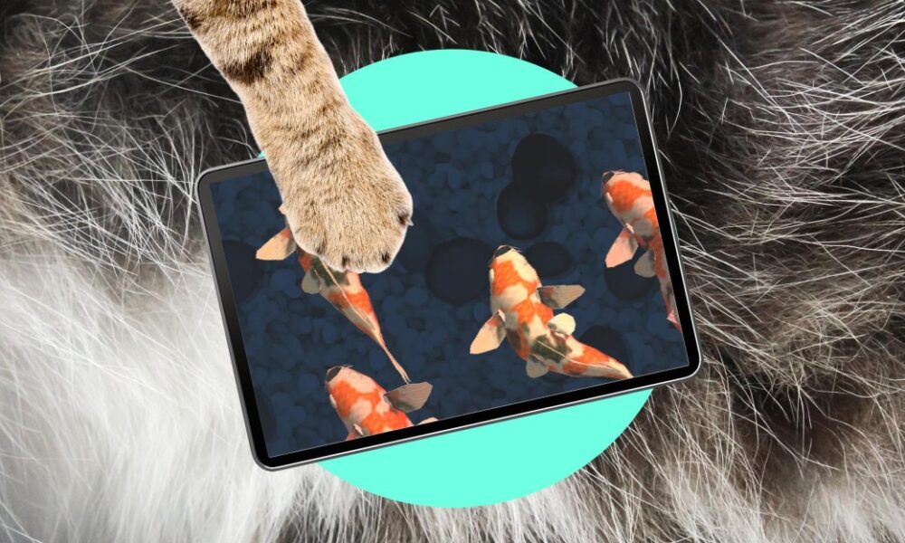 Oops! My cat is an iPad kid