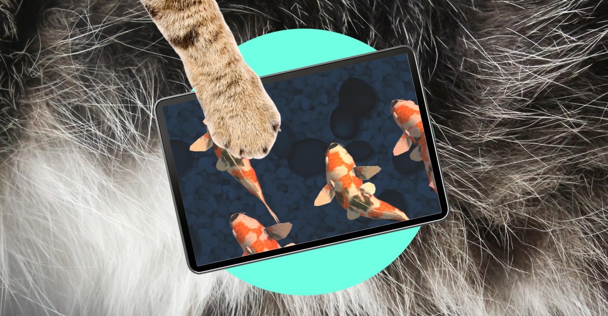 Oops! My cat is an iPad kid