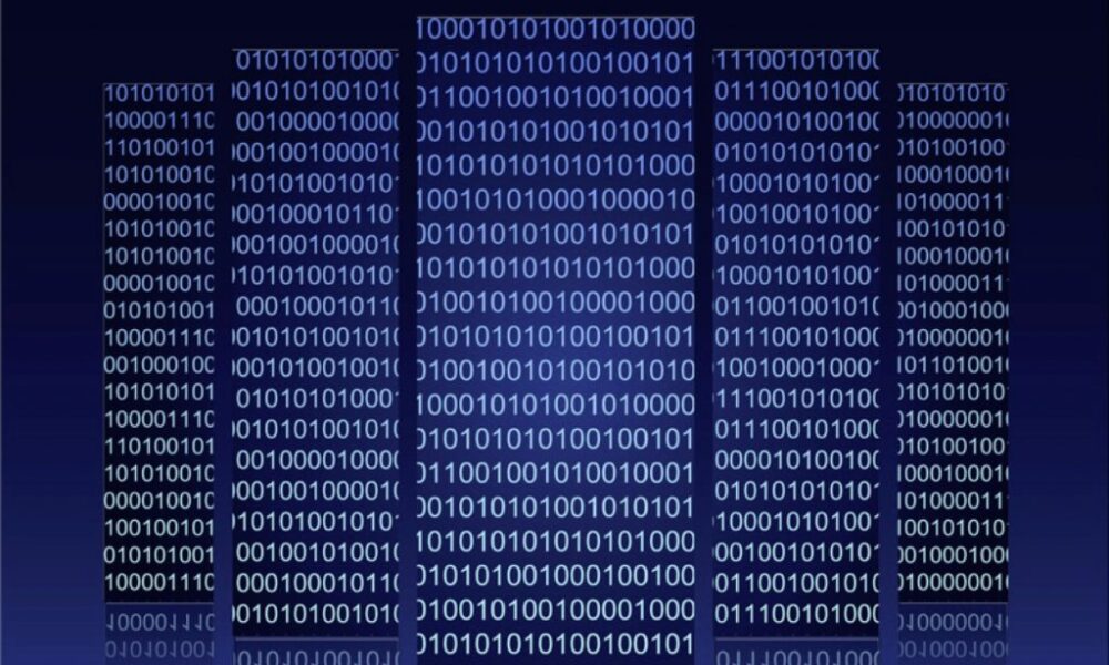 database software
