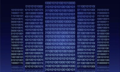 database software