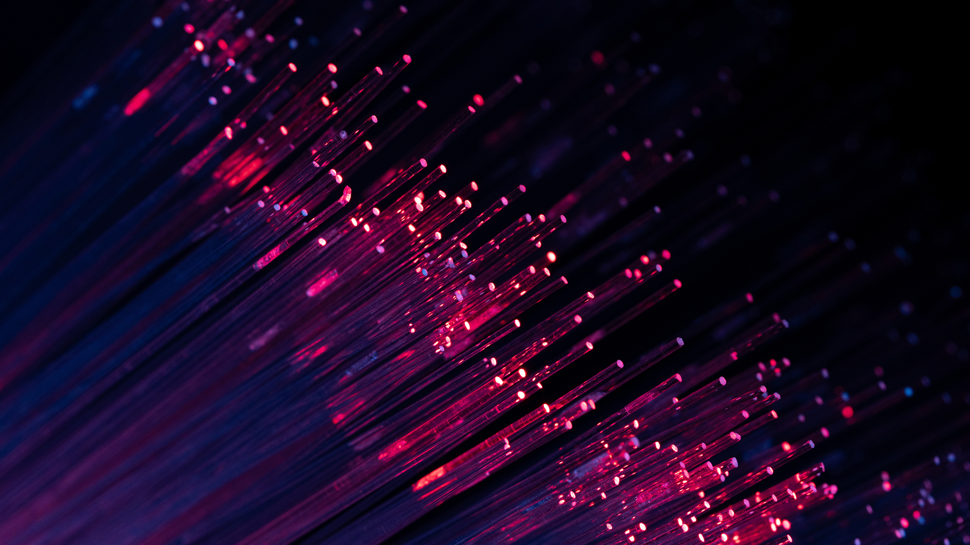 Deployed underground: How Lisbon’s LUMIRing is emerging as a globally recognised testbed for multicore fibre technology Abstract purple and blue fiber optic lights creating a vibrant digital data flow concept, ideal for modern technology and futuristic communication visuals.