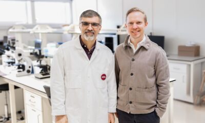 Gothenburg’s Millow secures €2 million to scale clean-label protein made from oats and mycelium