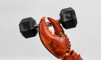 Claw holding weight