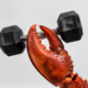 Claw holding weight