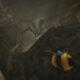 Low poly horror Tumblebee combines the joy of tumbling bees with the not-joy of being chased by huge spiders