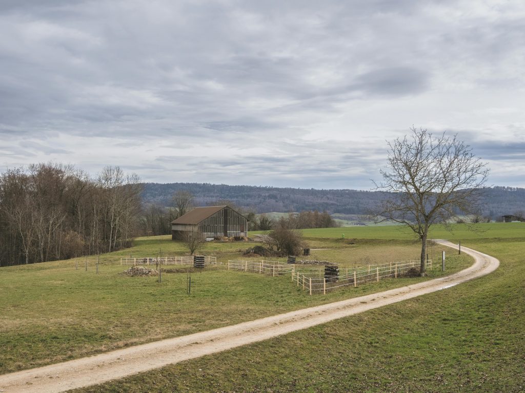 Starting a Farm Business in Pennsylvania