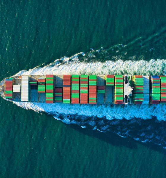 MG Ship adds AI route optimisation as logistics returns accelerate