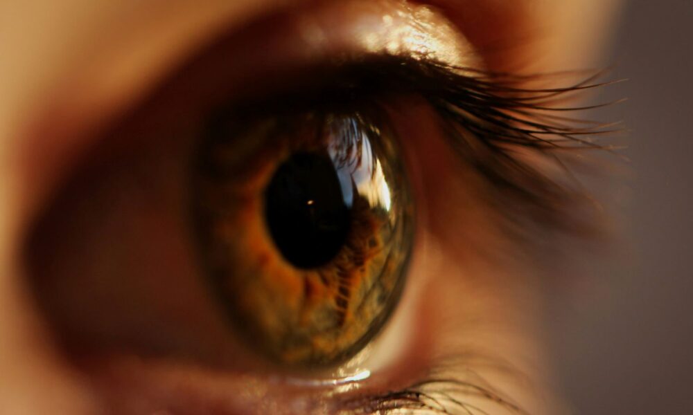 Denmark’s Breye Therapeutics raises €67.5 million to advance oral therapies for early treatment of retinal diseases
