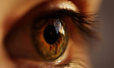 Denmark’s Breye Therapeutics raises €67.5 million to advance oral therapies for early treatment of retinal diseases