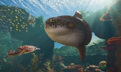 This week in PC games: play a human-eating Katamari from outer space, take over a nature reserve in Planet Zoo 2, and battle Napoleonic body horror in Valor Mortis
