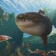 This week in PC games: play a human-eating Katamari from outer space, take over a nature reserve in Planet Zoo 2, and battle Napoleonic body horror in Valor Mortis