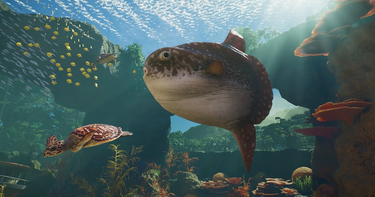 This week in PC games: play a human-eating Katamari from outer space, take over a nature reserve in Planet Zoo 2, and battle Napoleonic body horror in Valor Mortis