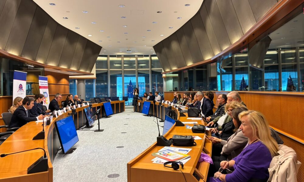 Recommendations presented at the European Parliament