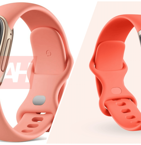 Fitbit Edge vs Charge 6