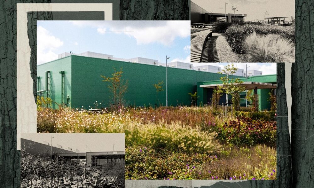 If a data center is camouflaged in the woods, will anyone hate it?