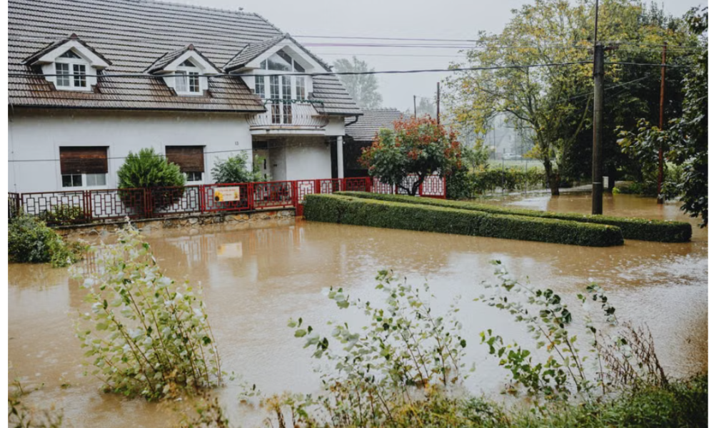 Navigating Property Damage Insurance Claims
