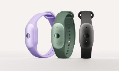 Three Bee Frontier wristbands in lavender, green and black